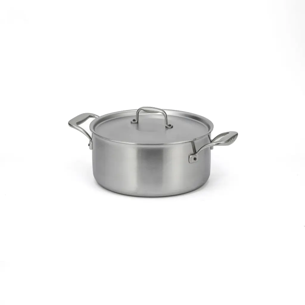 SCS2524SI Casserole 24 with lid.webp